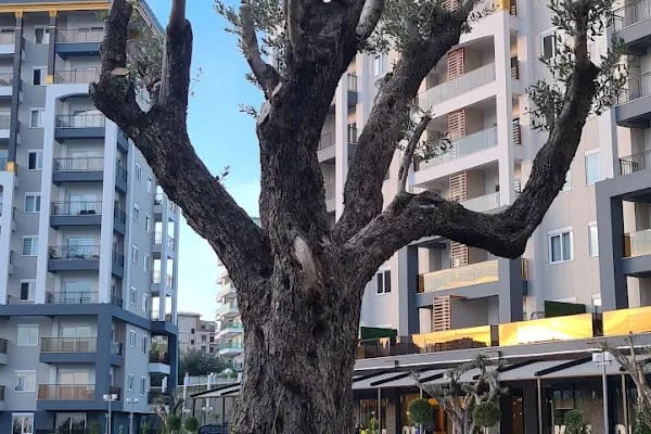 Alanya Properties - Resim 7