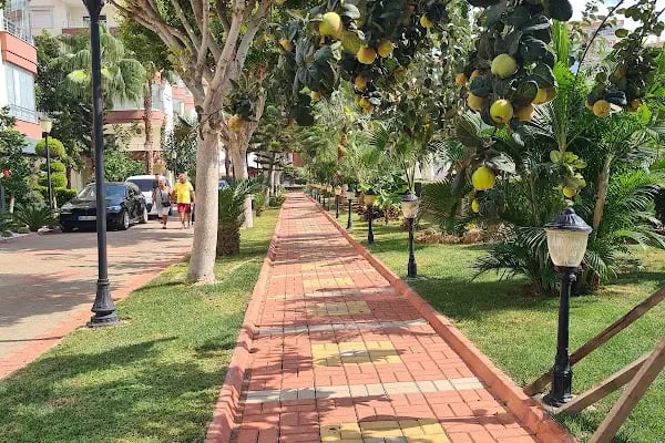 Alanya Properties - Resim 8