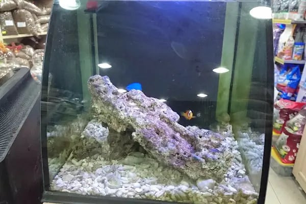 Moby Dıck Pet Shop - Resim 3