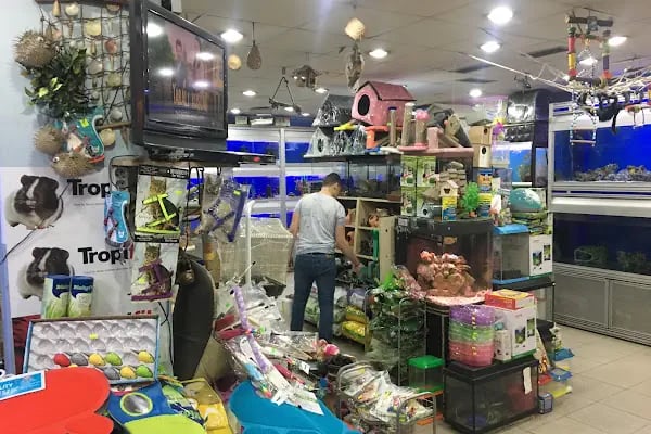 Moby Dıck Pet Shop - Resim 5