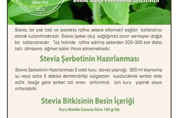 Balcı Stevia - Resim 3