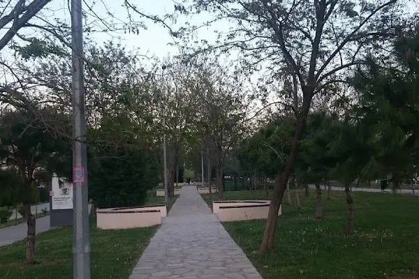 Yeşil Alan - Resim 20