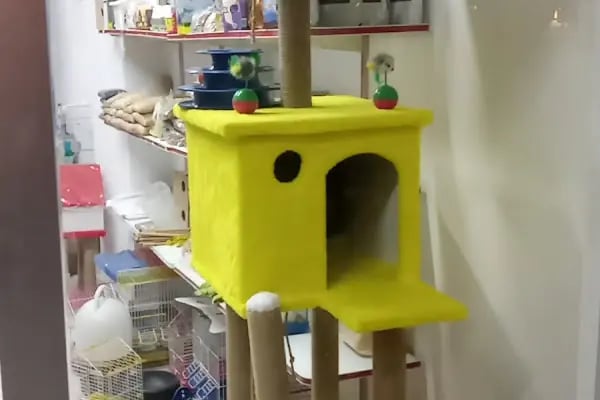 ARS PETSHOP PERAKENDE - Resim 2