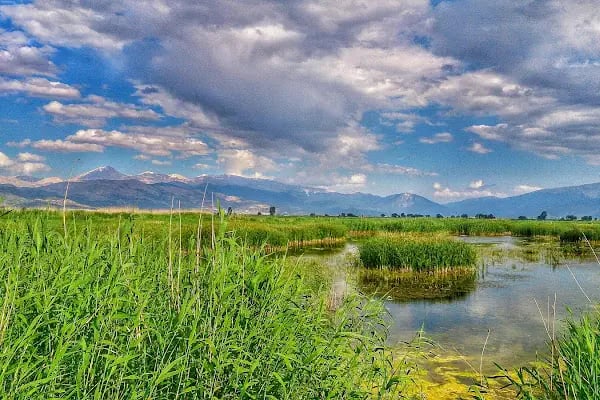 Akdeniz Üniversitesi Elmalı Meslek Yüksekokulu - Resim 17