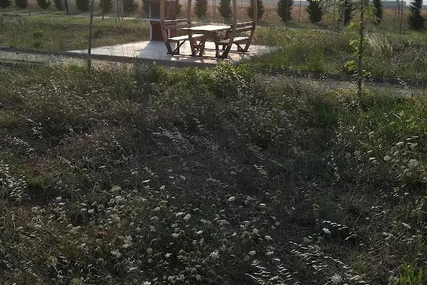 17 Ağustos Parkı - Resim 7