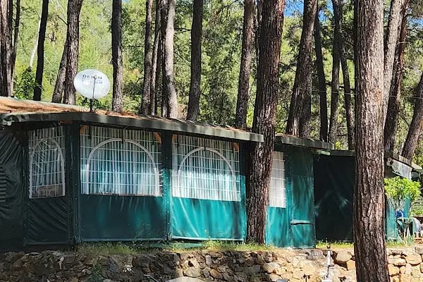 Katrancı Orman Kampı - Resim 17