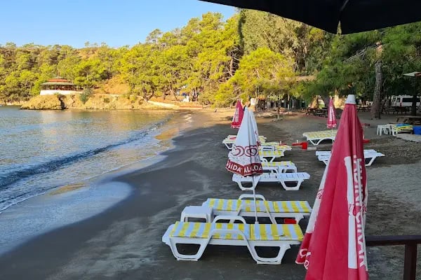 Katrancı Orman Kampı - Resim 7