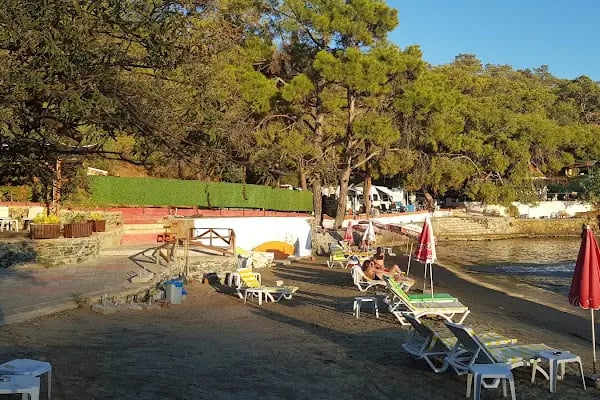 Katrancı Orman Kampı - Resim 19