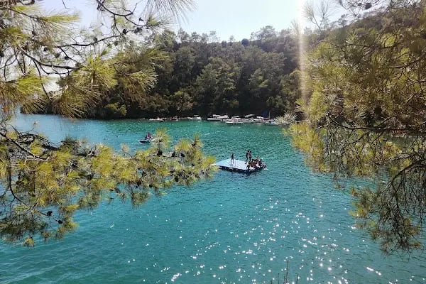 Katrancı Orman Kampı - Resim 12