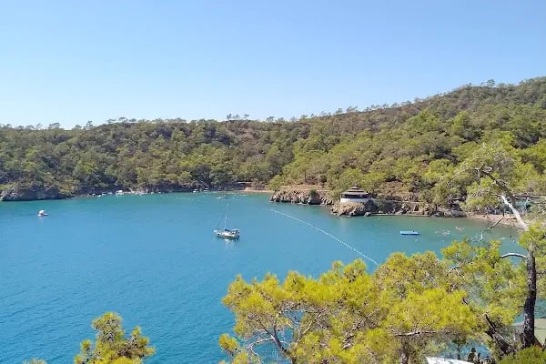 Katrancı Orman Kampı - Resim 14