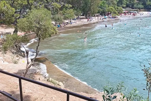 Katrancı Orman Kampı - Resim 15