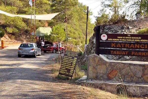 Katrancı Orman Kampı - Resim 4