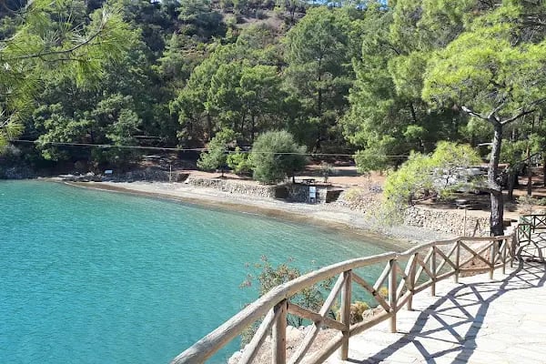 Katrancı Orman Kampı - Resim 3