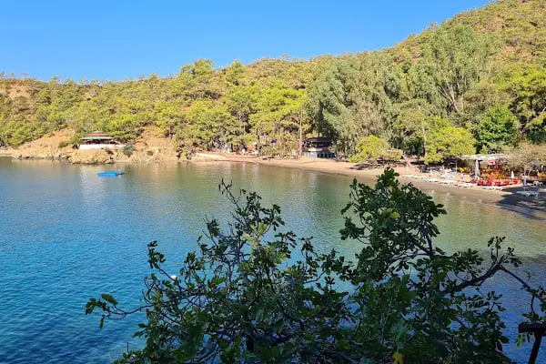Katrancı Orman Kampı - Resim 8