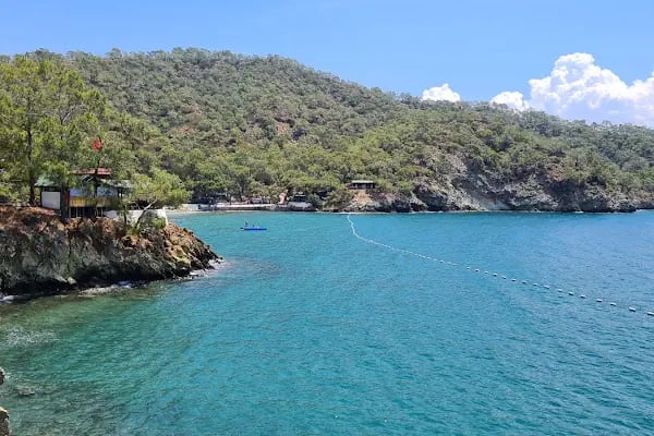 Katrancı Orman Kampı - Resim 6