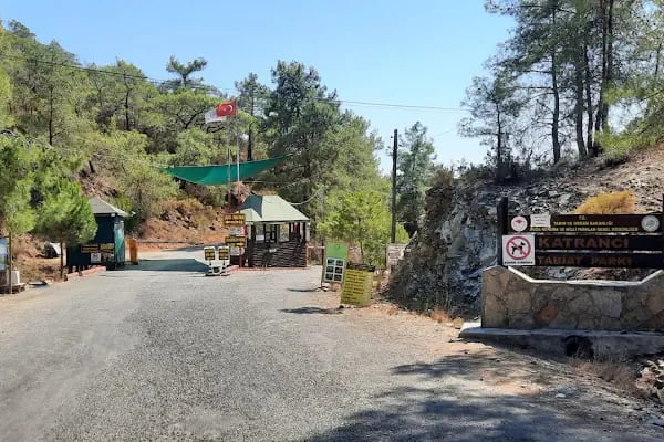 Katrancı Orman Kampı - Resim 5