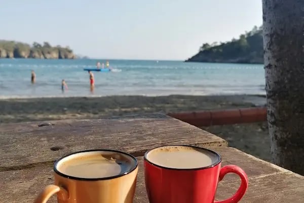 Katrancı Orman Kampı - Resim 20
