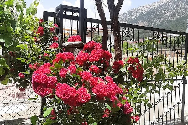 Akçatekir Su Tesisatçısı &amp; Ev Tadilatı - Resim 19