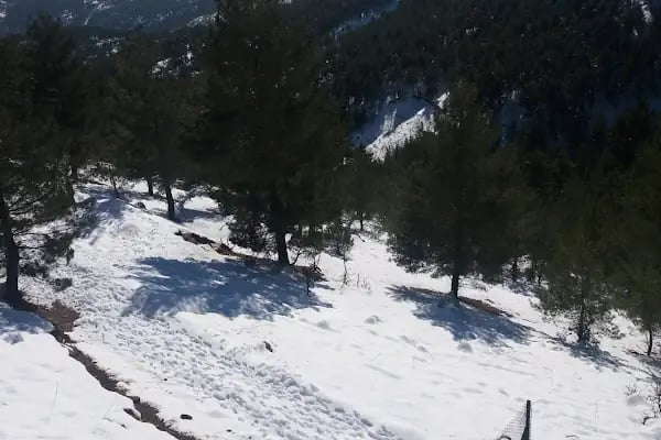 Akçatekir Su Tesisatçısı &amp; Ev Tadilatı - Resim 16