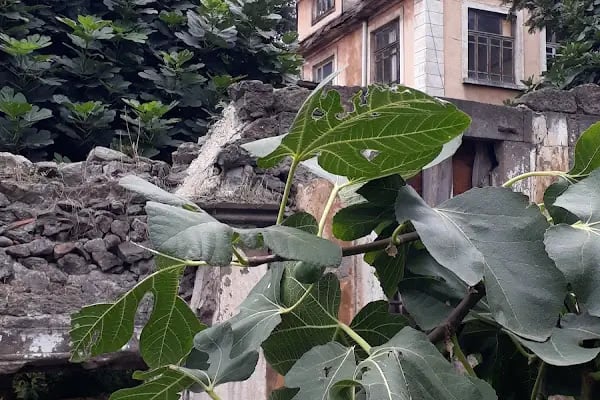 İran İslam Cumhuriyeti Trabzon Başkonsolosluğu - Resim 4
