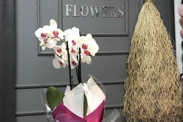Love Flowers - Resim 9