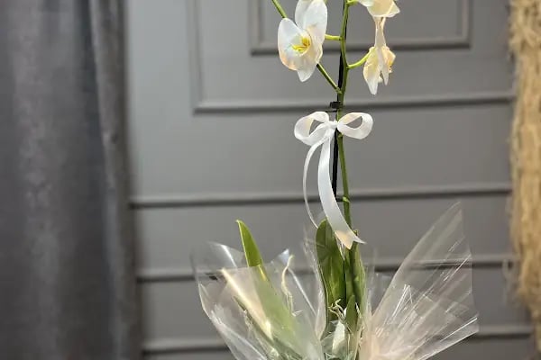 Love Flowers - Resim 5