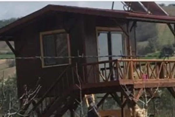 Işık orman ve yapı malzemeleri - Resim 17