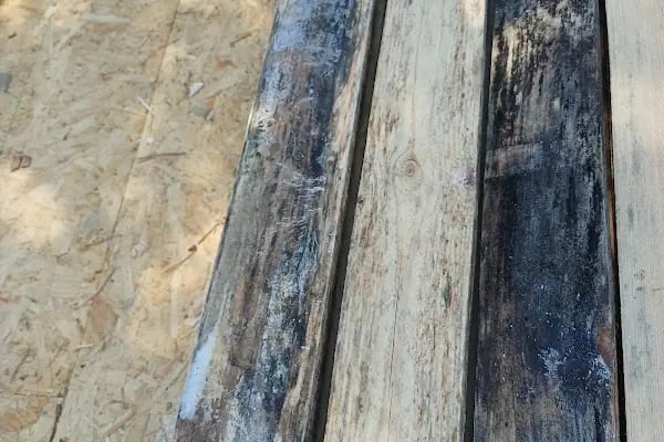 Işık orman ve yapı malzemeleri - Resim 12