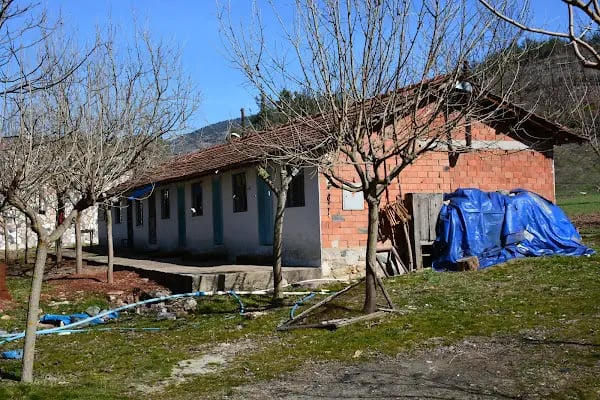 Düğüncüler Hamamı - Resim 14