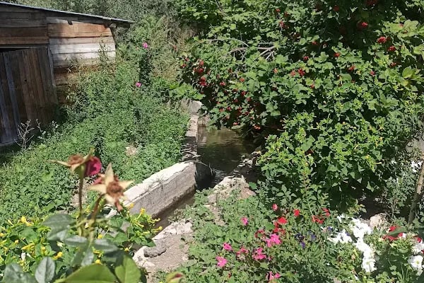 Çitköy Alakamp - Resim 16