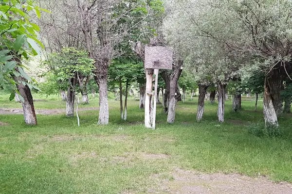 Çitköy Alakamp - Resim 19