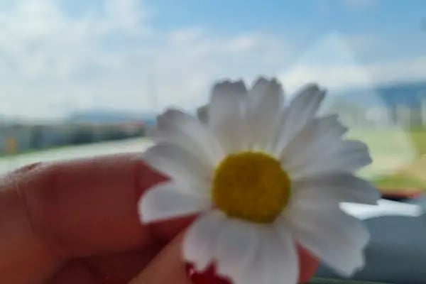 Yeni Barış Eczanesi - Resim 12