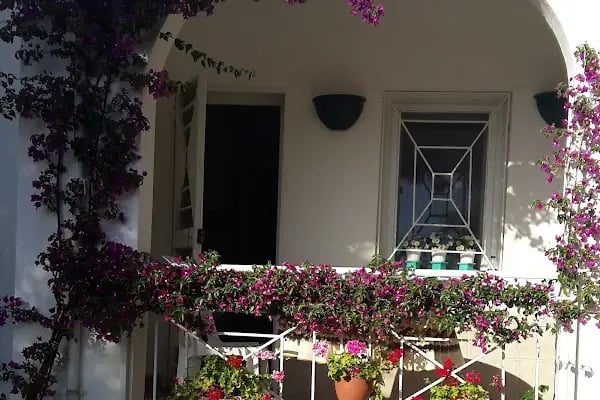 Amiral Tatil Köyü - Resim 8