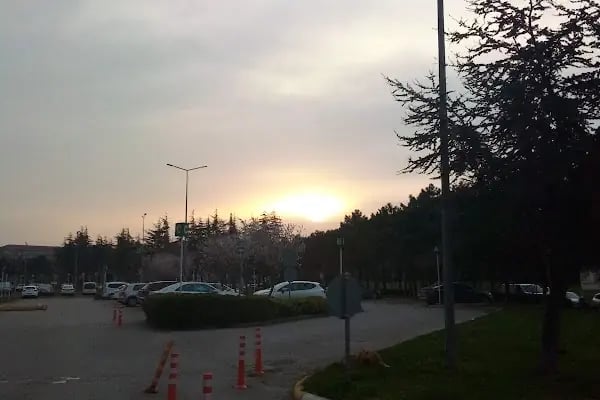 Dünya Ticaret Merkezi Metro İstasyonu - Resim 19