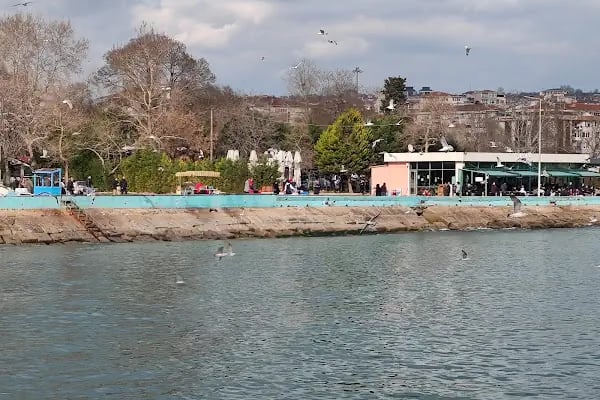TEKİRDAĞ PARK (DALTEMAPARK) - Resim 10