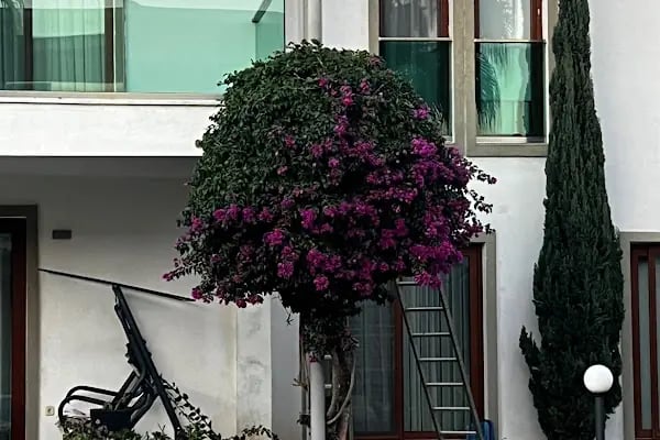 Sahil evleri sitesi - Resim 7