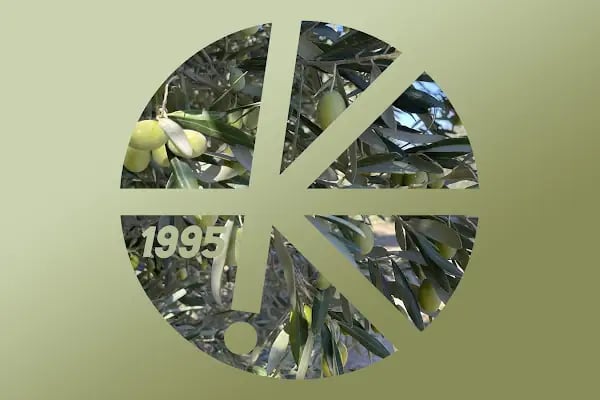 Kozaklı - Resim 1
