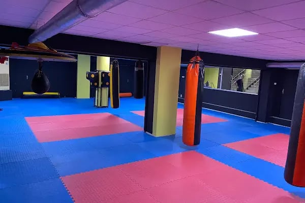 Aydın Fatih 1453 Spor Kulübü Taekwondo,Kickboks,Boks,Tabata,Personal Trainer Kursu verilmektedir" - Resim 6