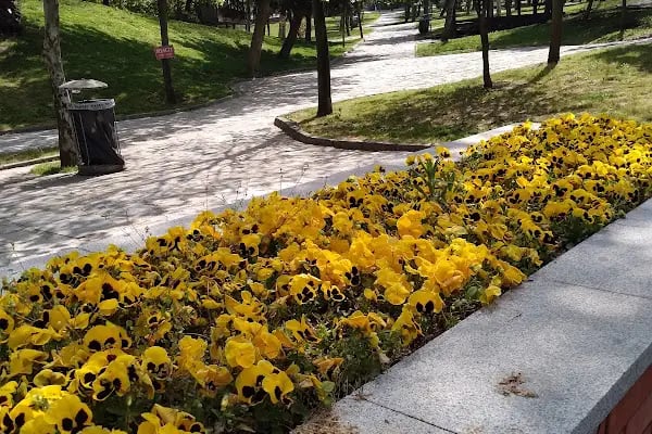 Bahçelievler Piknik Alanı - Resim 19