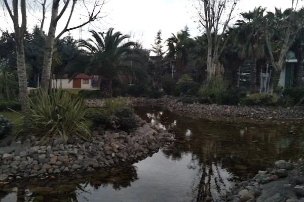 Bahçelievler Piknik Alanı - Resim 11