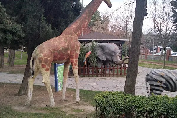 Bahçelievler Piknik Alanı - Resim 5