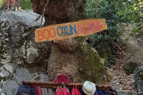 Özel Bursa Orman Anaokulu - Resim 11