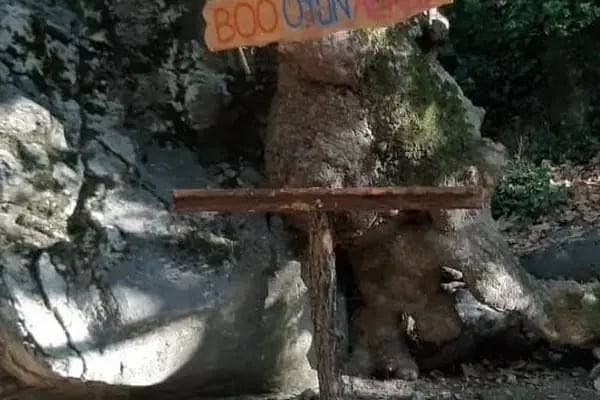 Özel Bursa Orman Anaokulu - Resim 13