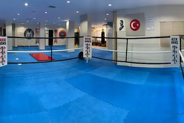 Pendik Demirel Spor Kulübü - Resim 2