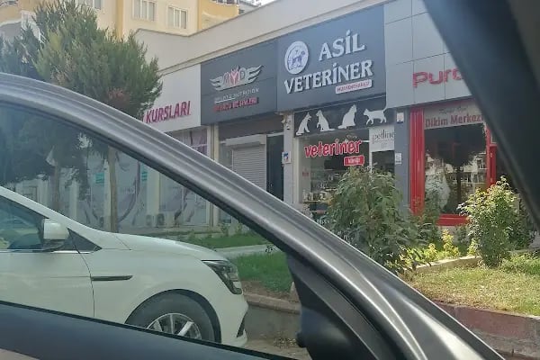 Asil Veteriner Kliniği Gaziantep - Resim 7