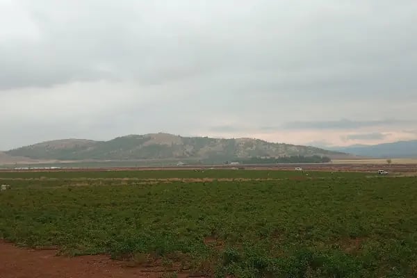 Ağalarobası Mahallesi Camii - Resim 4