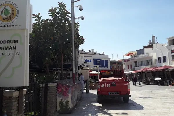 Orman İşletme Şefliği - Resim 3