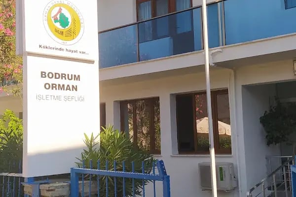 Orman İşletme Şefliği - Resim 2