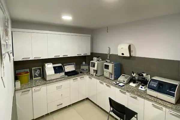 Truva Veteriner Kliniği - Resim 6