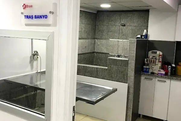 Truva Veteriner Kliniği - Resim 14